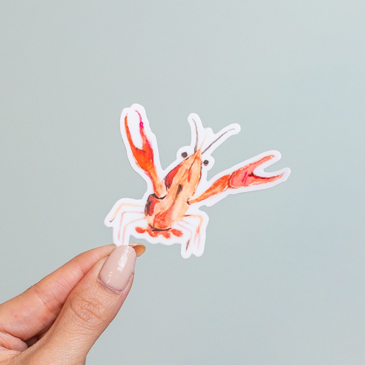 Crawfish Sticker – kathyphantastic