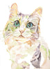 Persian Angora Cat Watercolor Print, Persian Giclée Cat Print, Angora Cat Wall Art, Angora Cat Illustration, Persian Angora Cat Art Print