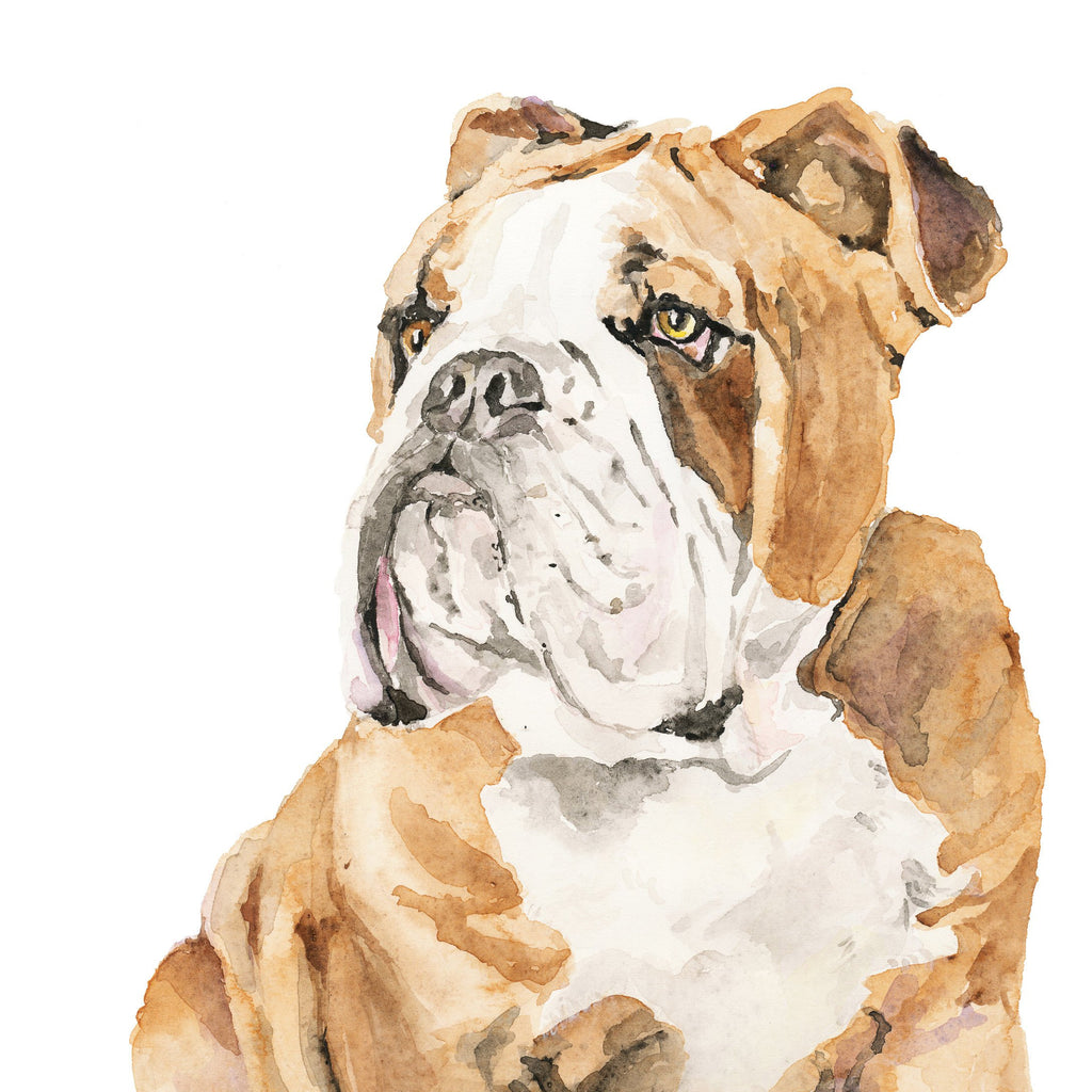 English Bulldog Watercolor Print, English Bulldog Giclée Print, Bulldog Wall Art, Bulldog Gift, Dog Lover Gift, Giclée Dog Art Print