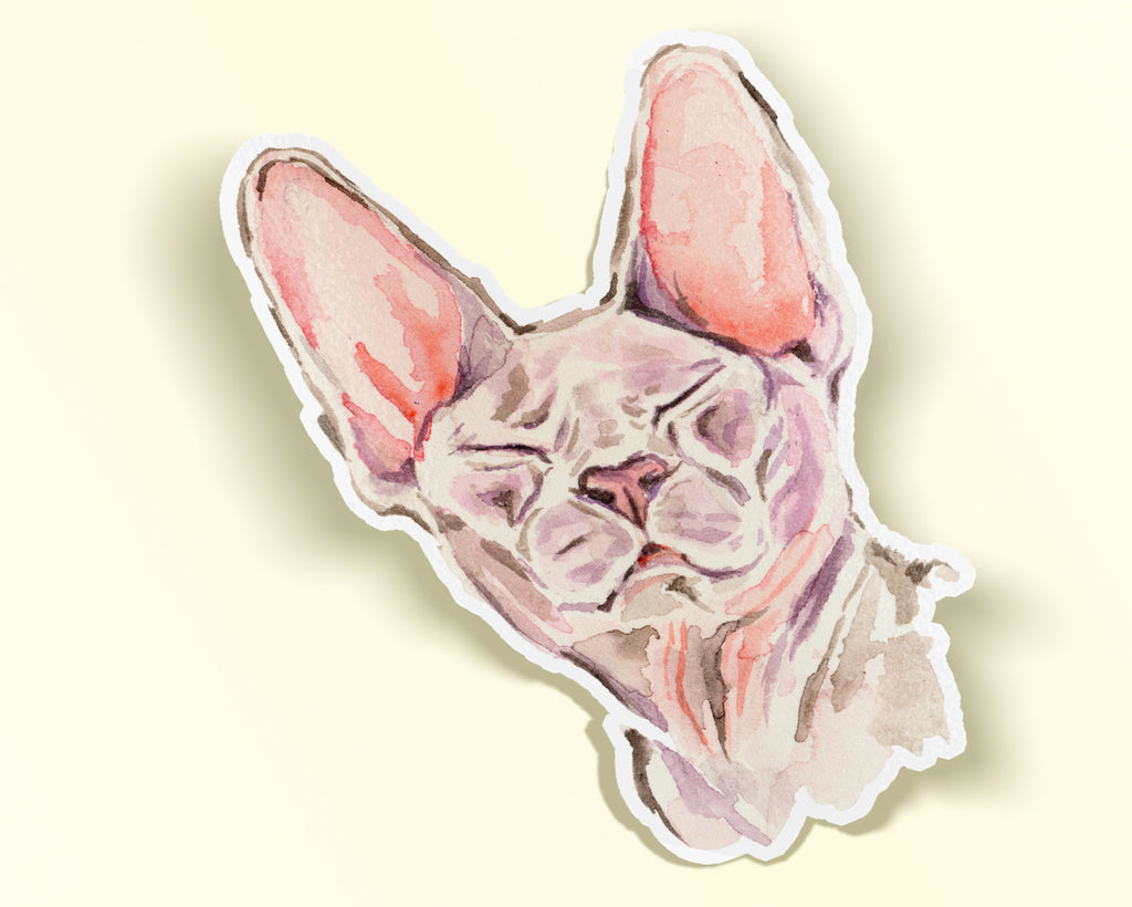 Sphynx Cat Sticker, Sphynx Cat Die Cut Vinyl Sticker, Hairless Cat Sticker, Watercolor Sphinx Cat Sticker, Cat Vinyl Stickers,  Sphinx Gift