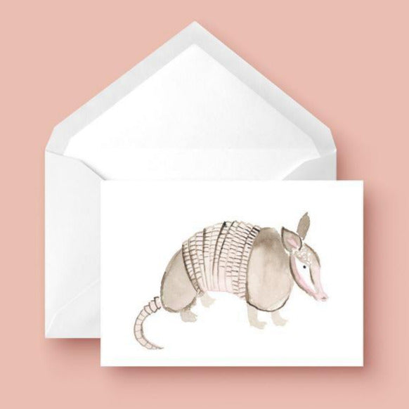 Armadillo Texas Greeting Card Set, Illustrated Texas Note Card Set, Austin Texas Gift, Stationery Set of 6 Cards